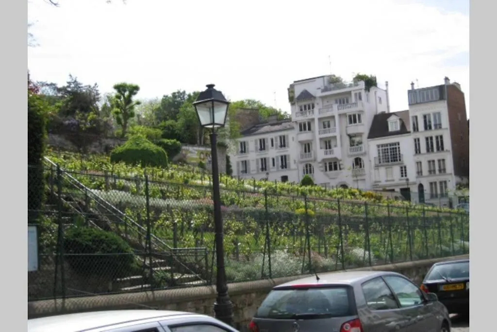 Charming Apartment In Montmartre Paris